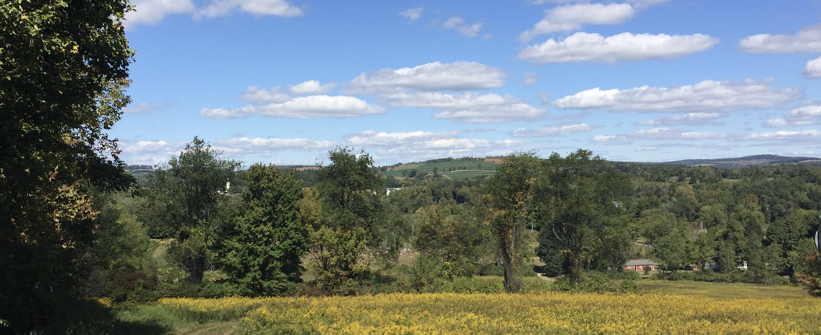 7383c8d8-422a-41ee-a832-15e5dfa58174