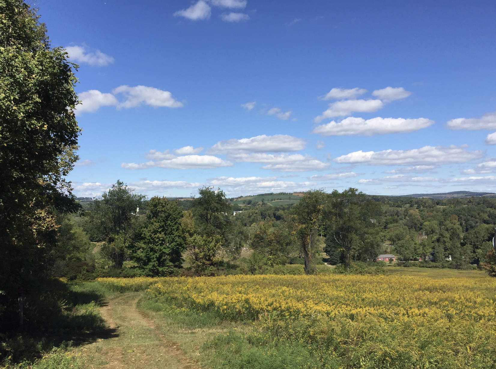 7383c8d8-422a-41ee-a832-15e5dfa58174